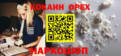 стаф Гай