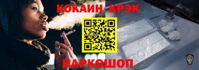 стаф Гай