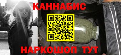 стаф Гай