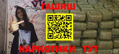 стаф Гай