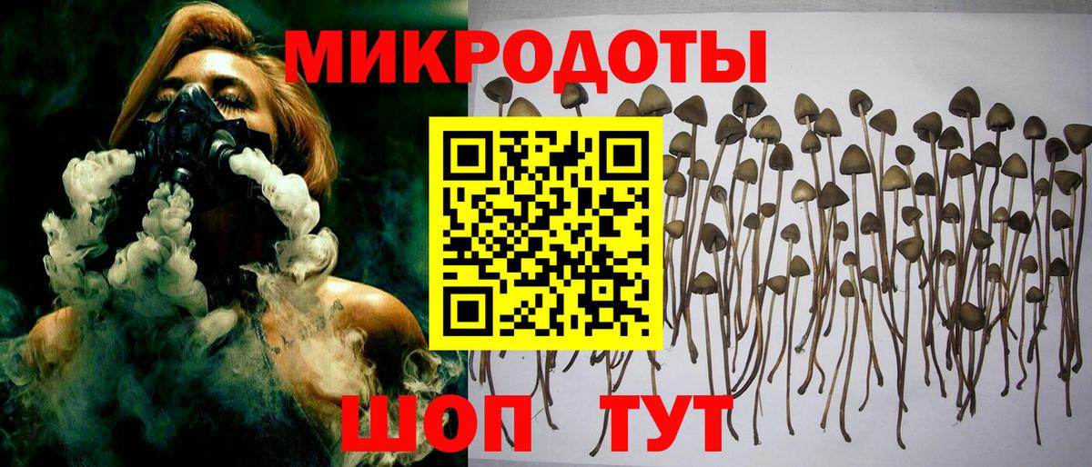 Галлюциногенные грибы Psilocybine cubensis  Вход с VPN  наркотики  Приморско-Ахтарск 